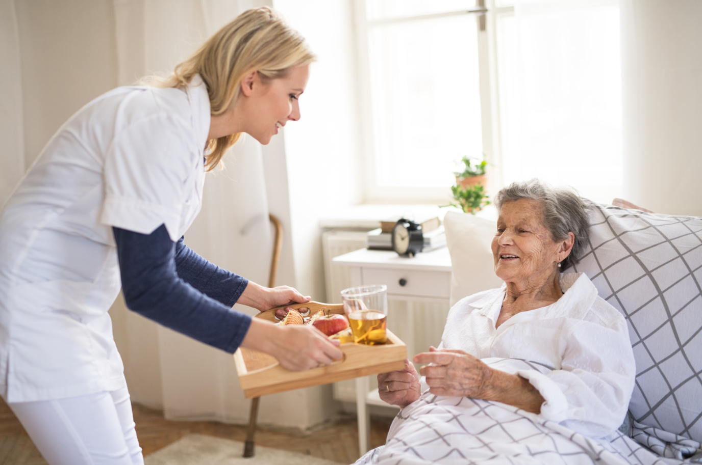 Palliative care services in Florida